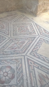 WP_20160721_003.jpg