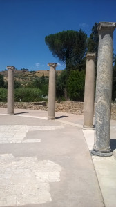 WP_20160721_005.jpg