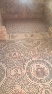 WP_20160721_015.jpg