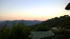 WP_20160721_019.jpg