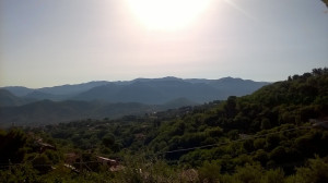 WP_20160722_002.jpg