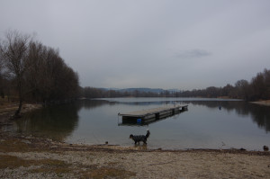 IMGP1630.JPG