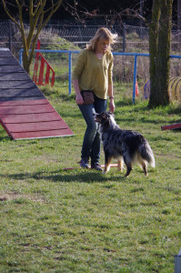 IMGP1646.JPG