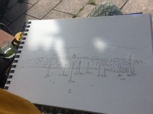 IMG_0066 (1).MOV