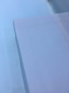 IMG_0100 (1).MOV