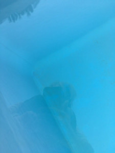 IMG_0101 (1).MOV