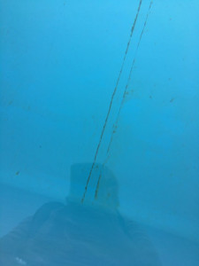 IMG_0102 (1).MOV
