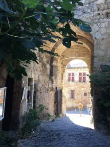 IMG_0151 (1).MOV
