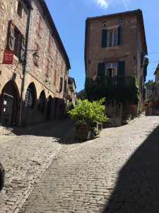 IMG_0153 (1).MOV