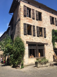 IMG_0156 (1).MOV