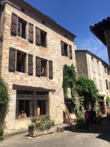 IMG_0157 (1).MOV
