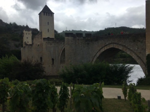 IMG_0169 (1).MOV
