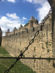 IMG_0200 (1).MOV