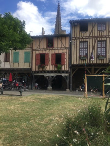 IMG_0217 (1).MOV