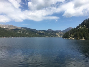 IMG_0232 (1).MOV
