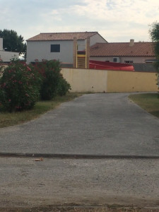 IMG_0244 (1).MOV