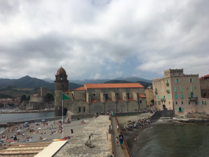 IMG_0247 (1).MOV