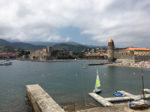 IMG_0249 (1).MOV