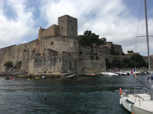 IMG_0254 (1).MOV