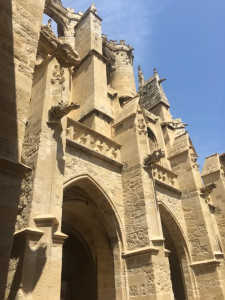 IMG_0262 (1).MOV