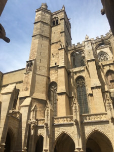 IMG_0264 (1).MOV