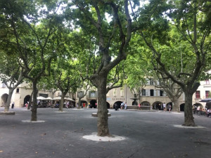 IMG_0280 (1).MOV