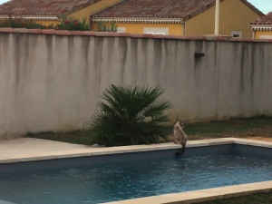 IMG_0396 (1).MOV
