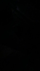 IMG_0479.MOV