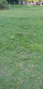 IMG-20200127-WA0013.jpg