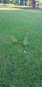 IMG-20200127-WA0014.jpg