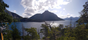IMG-20200129-WA0013.jpg