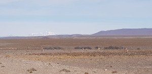 IMG-20200201-WA0027.jpg
