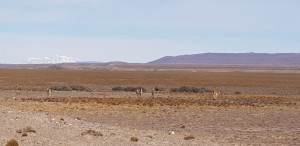 IMG-20200201-WA0028.jpg