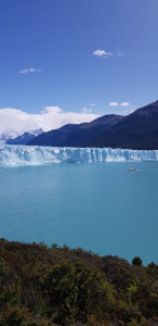 IMG-20200201-WA0050.jpg