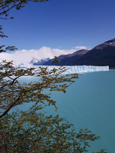 IMG-20200201-WA0068.jpg