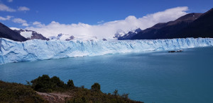 IMG-20200201-WA0071.jpg