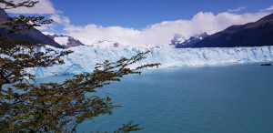 IMG-20200201-WA0072.jpg