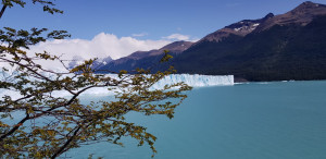 IMG-20200201-WA0073.jpg