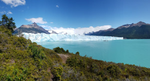 IMG-20200201-WA0081.jpg