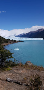 IMG-20200201-WA0101.jpg