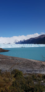 IMG-20200201-WA0105.jpg