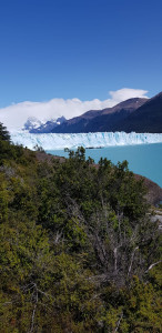 IMG-20200201-WA0106.jpg