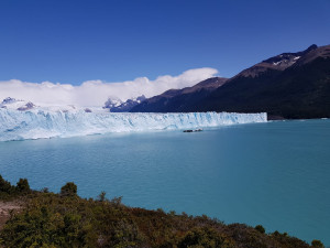 IMG-20200201-WA0110.jpg