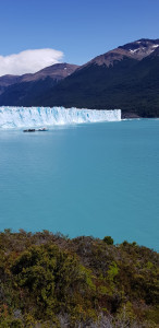 IMG-20200201-WA0113.jpg