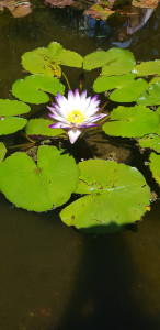 IMG-20200216-WA0032.jpg