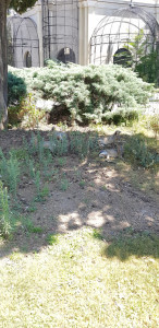 IMG-20200216-WA0044.jpg