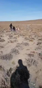 VID-20200131-WA0006.MP4