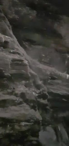 VID-20200210-WA0025.MP4