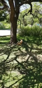 VID-20200216-WA0047.MP4