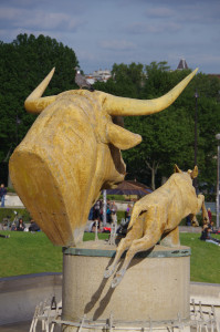 IMGP0678.JPG